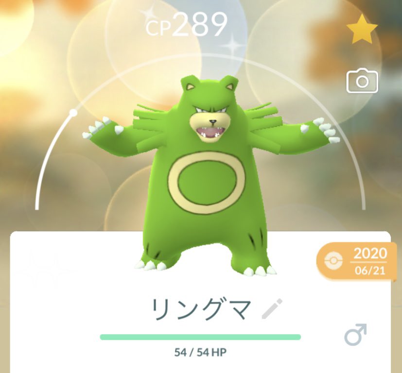 ポケモンgo リングマの色違い 入手方法と実装状況 攻略大百科 ポケモンgo リングマの色違い 入手方法と実装状況 攻略大百科