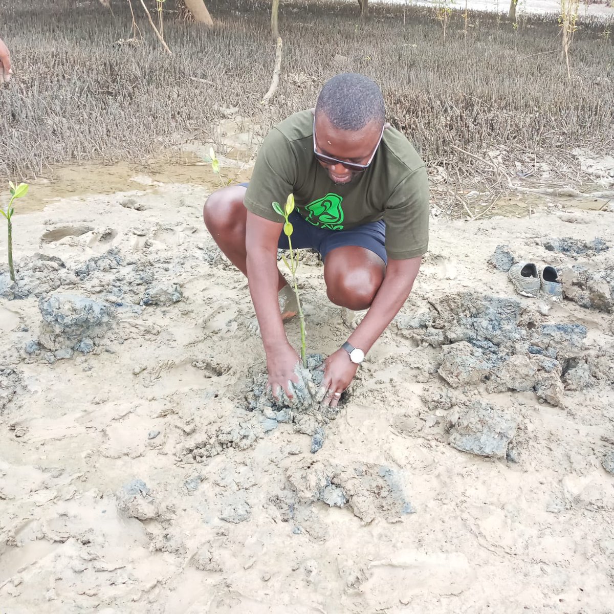 BandaRoberts's tweet photo. Today at Kilifi creek , mangrove restoration Total mangroves and species planted Rhizophora mucronata 500
Thanks to Friends of nature CBO,  @KCCGP_ @kenya_climate   
Pwani University volunteers Club(PUVOK) https://t.co/BlEQytGTf3