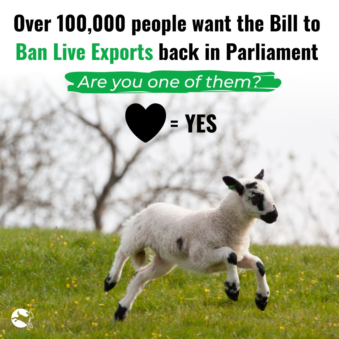 If you signed, thank ewe!🐑💚 It's been nearly a year since the Bill to #BanLiveExports was seen in Parliament - this should force it back onto the agenda. The more signatures we have, the stronger our message to the next UK Prime Minister. Sign here: bit.ly/3zF6HQ9