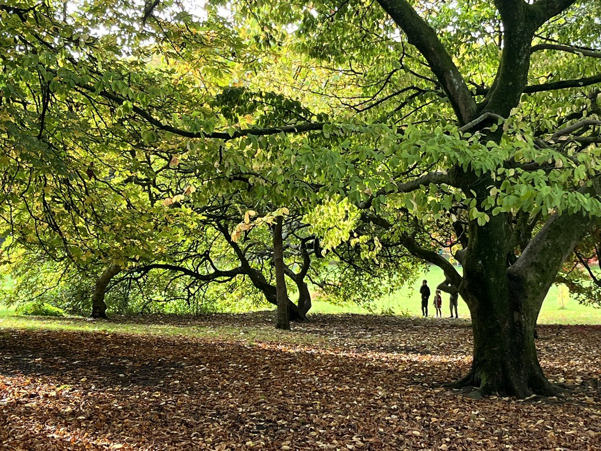 MeridethGattis's tweet image. Gorgeous day for running around in @buteparkcardiff #CardiffCommunity