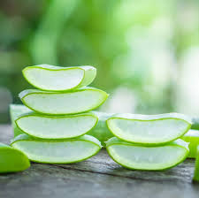 _Woman_health's tweet photo. #Invasivecervicalcancer - Herbal Medicine #Aloe Extract https://t.co/8GAXdxYu5l https://t.co/Qgsb8O192I