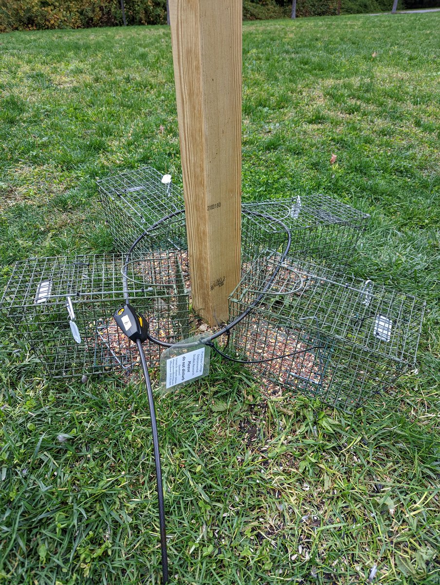 Allyson K Jackson tweet media