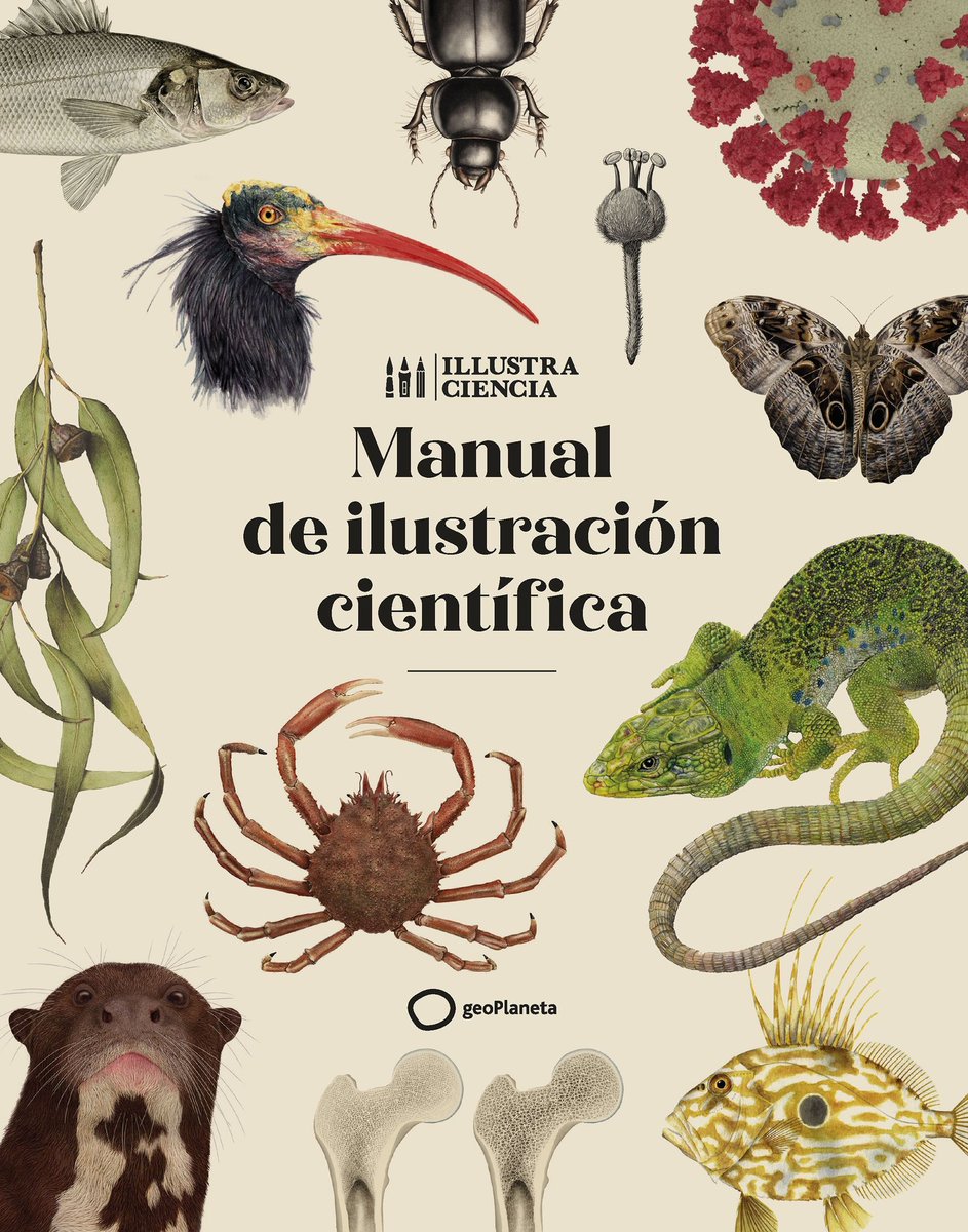 En 4 días sale a la venta el 1er Manual de Ilustración Científica en español. ¡Libro de <a href="/illustraciencia/">ILLUSTRACIENCIA</a> editado por <a href="/geoplaneta/">geoplaneta</a>! #IlustracionCientífica #illustraciencia cc <a href="/ACCC_/">Associació Catalana de Comunicació Científica</a> <a href="/mncn_csic/">Museo Nacional de Ciencias Naturales</a> <a href="/FECYT_Ciencia/">FECYT</a>