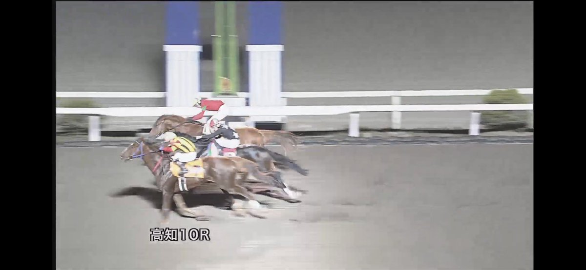 てか高知見てない間にハルパクもモズヘラクレスもこの辺りでつまづくようになってしまったのかという悲しみもある