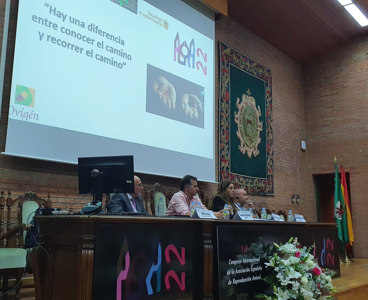 AERA2022 (@aera2022) on Twitter photo Fantástica mesa redonda sobre el ovino en #AERA22 con Mercedes Álvarez, <a href="/refreyre/">fernando freire</a> de @OvigenOficial, Luis Bravo de Torreanaya y Sergio Ledda <a href="/UniSassari/">University Sassari</a>. <a href="/FacVetLeon/">Facultad de Veterinaria - Universidad de León</a> <a href="/unileon/">Universidad de León</a> #leonesp Fantástica mesa redonda sobre el ovino en #AERA22 con Mercedes Álvarez, <a href="/refreyre/">fernando freire</a> de @OvigenOficial, Luis Bravo de Torreanaya y Sergio Ledda <a href="/UniSassari/">University Sassari</a>. <a href="/FacVetLeon/">Facultad de Veterinaria - Universidad de León</a> <a href="/unileon/">Universidad de León</a> #leonesp