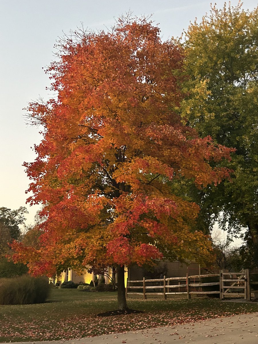 From the Department of Unsolicited Advice: Take advantage of this beautiful Fall Saturday!!!