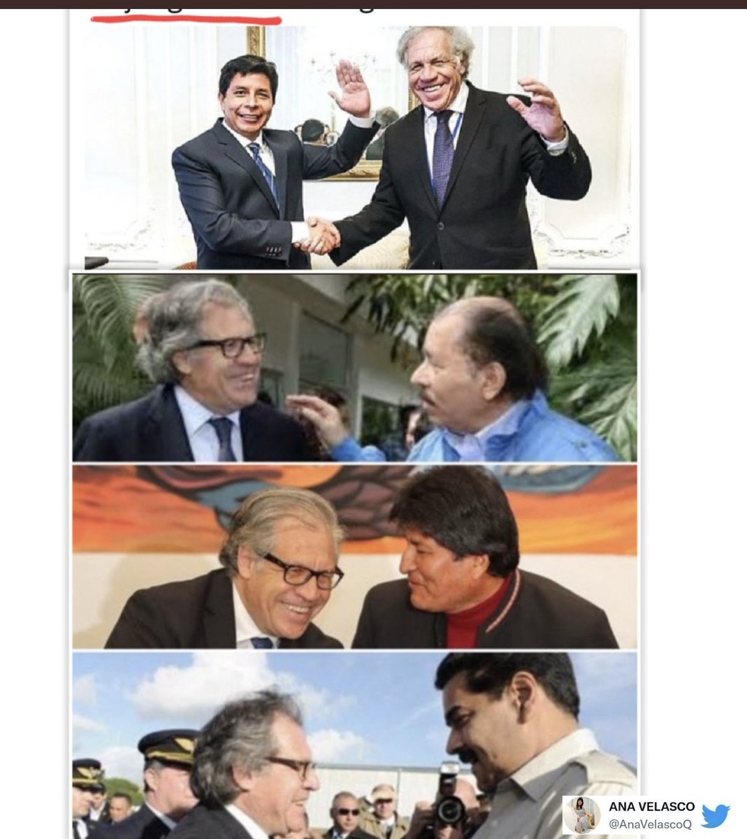 victorhponce's tweet photo. Estos son los personajes a quien Defiende @Almagro_OEA2015 y  @OEA_oficial 
Persiguen a la Iglesia católica, destruyen la economía, apresan opositores, todos denunciados por corrupción
No permitamos que intervengan en el Perú 
Defendamos nuestra soberanía 
#FueraOeaDelPeru 
#5No https://t.co/Y4twnxGVmC