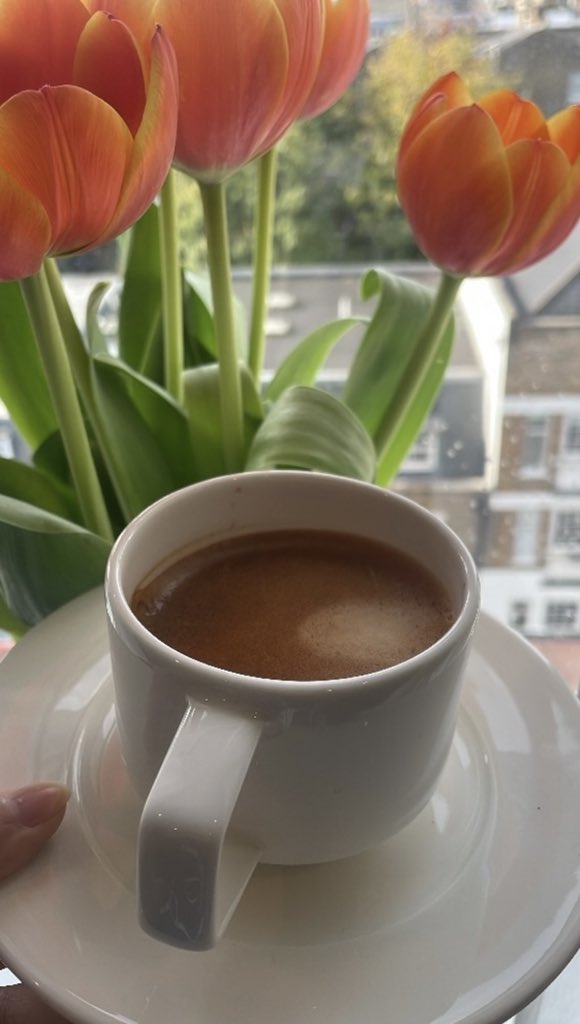Nb_26's tweet photo. for the love of tulips. https://t.co/2Ey0LXGJmz