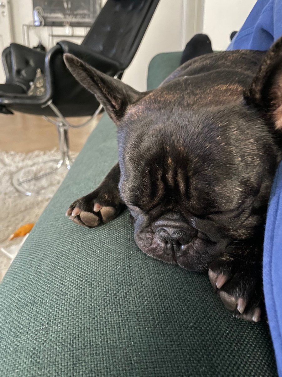 Anders Pettersson tweet media