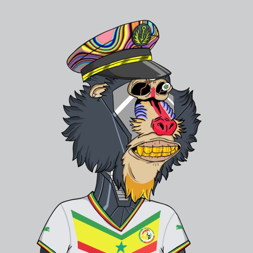 Apefootballcup's tweet image. NFT with free mint on the football world cup ethereum network!

@Apefootballcup 

#NFTs #NFTCommunity #nfteth 
#cupqatar #football