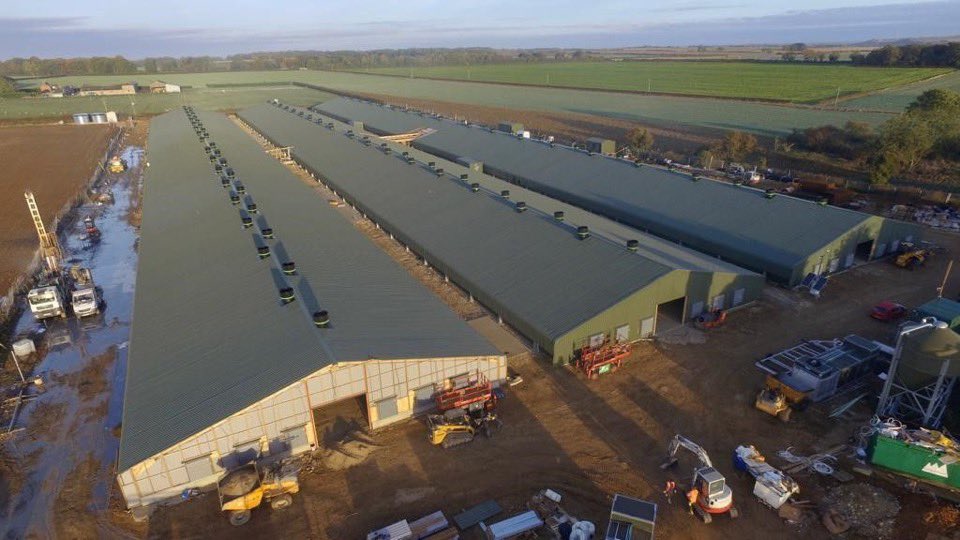 One of two six house projects well underway with <a href="/ClarkeGroup1/">Clarke Group Ltd</a> . Full equipment supply by <a href="/jfmckennaltd/">JF McKenna Ltd</a> with <a href="/fancombv/">Fancom</a> <a href="/choretime/">Chore-Time</a> <a href="/lubinguk/">Lubing UK & Ireland</a> <a href="/HATO_lighting/">HATO Agricultural Lighting</a> <a href="/CollinsonAgri/">Collinson Silos 🇬🇧</a> and heat exchangers from <a href="/VencomaticGroup/">Vencomatic Group</a>.