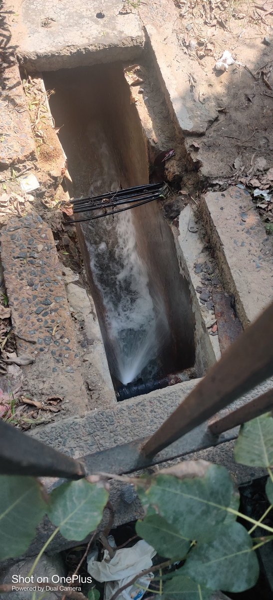 ChildrensearthO's tweet photo. #water being #wasted today...don't know since when, plot 18, greenvalley, dwarka sector 22. Repair asap
@gyaneshbharti1 @LtgovDelhi @ashwanikumar_92 @mcd_delhi @pmoindia @narendramodi @Ankita1988 @anAamAadmi @delhiPWD @DirectorPI_MCD @DelhiJalBoard @gurpreetdanics https://t.co/iWuq9hOWRi