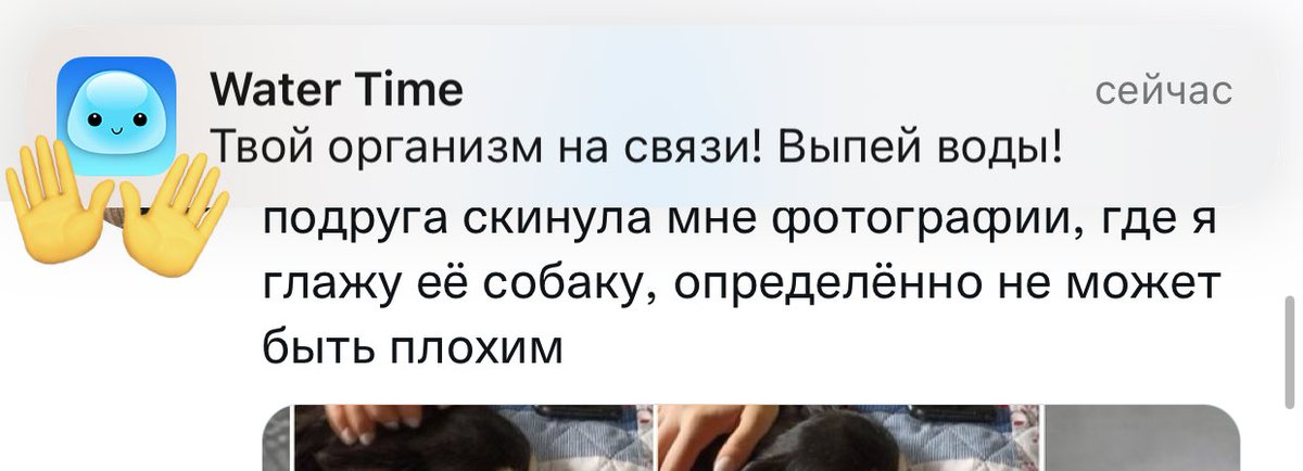 L07476251L's tweet photo. Уже подзаебал https://t.co/pCEsiWsxo6