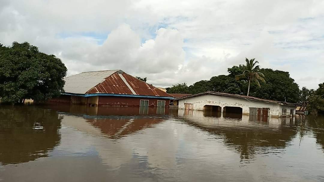 enDougs's tweet photo. My people in Edo North are currently experiencing the worst flood in history as villages have now become rivers. The flood has submerged their houses, farms and investment, and there seems to be no help from anywhere. We are soliciting for help to save our people

#EtsakoFlood https://t.co/k6K8jAt6l8