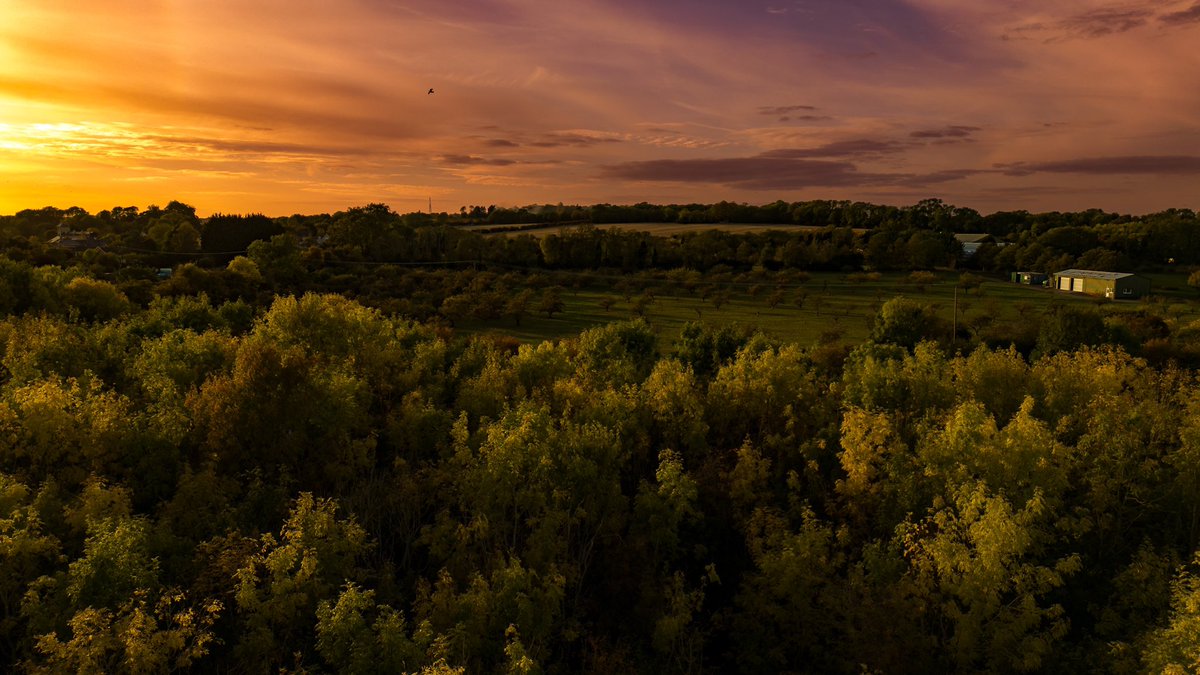 <a href="/greenarteries/">Wendy Blythe</a> <a href="/thetimes/">The Times and The Sunday Times</a> The <a href="/GreaterCambs/">Greater Cambridge Partnership</a> say a “few trees will be lost” the reality is 20,000m² of biodiverse habitats. 100s of veteran fruit trees, the loss of which can’t be “mitigated”. Everything under the sky here will be gone if their preferred route goes ahead change.org/p/save-the-gre…