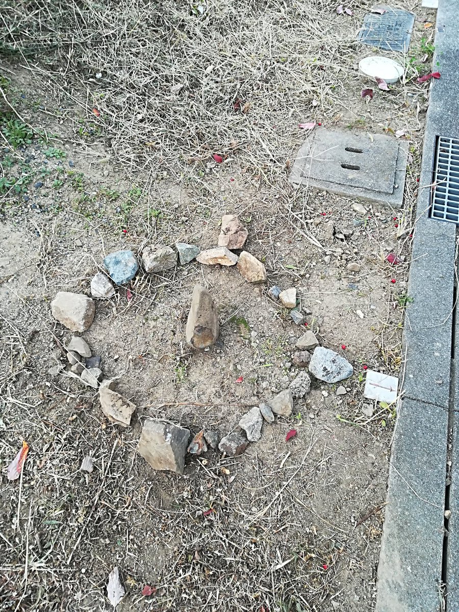Kichi92522619's tweet photo. 太陽時計を設置しています
#sunclock
#太陽時計 https://t.co/RF1ZhFLSD5