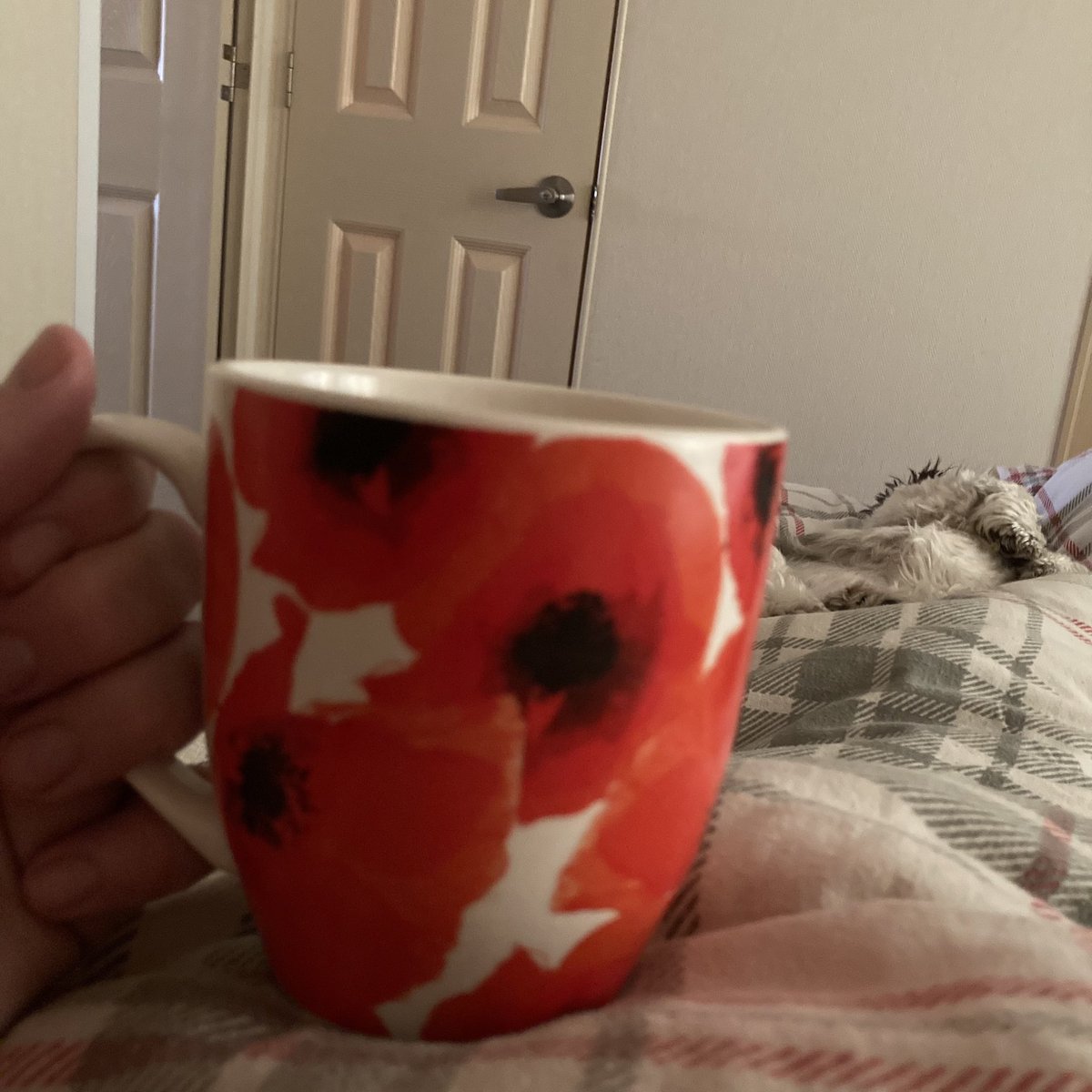 Laura_Slats's tweet photo. Happy Half Term ☕️🛌🐶 #myplanaforthenextweek #absolutelynothing #chilling #relax https://t.co/OTUxvqaZxx