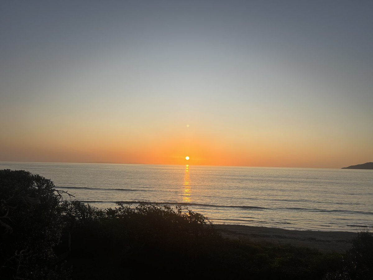 Adon Byron tweet media