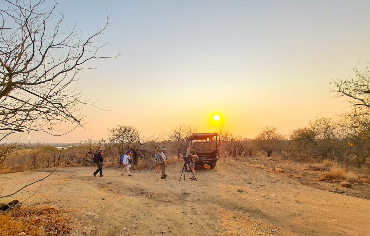 Nhongosafaris's tweet photo. We’re on the road again 🎉
#safaritime #adventure #krugernationalpark #tour #gamedrive #kruger #wildlife #southafrica #africa #nature #safari #wildlifephotography #krugerpark #naturephotography #travel #photography #animals #big #krugerexplorer #sanparks #krugerthroughmyeyes https://t.co/Eccj6HPmPH
