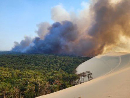 pompiers36's tweet photo. 🔥🚒 À plusieurs reprises durant l’été, ils ont constitué le Groupe d'intervention feux de forêt (GIFF) "Berry" avec le @SDIS_18. Une organisation mise en place depuis 2015 et qui vient de franchir le cap des 25 missions en cette année 2022. https://t.co/ZrHKHJU9JR