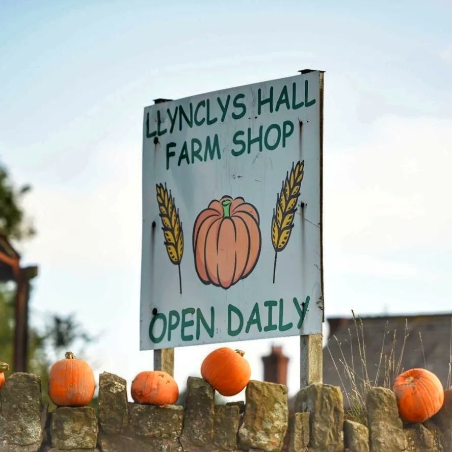 Press De Cuba tweet media