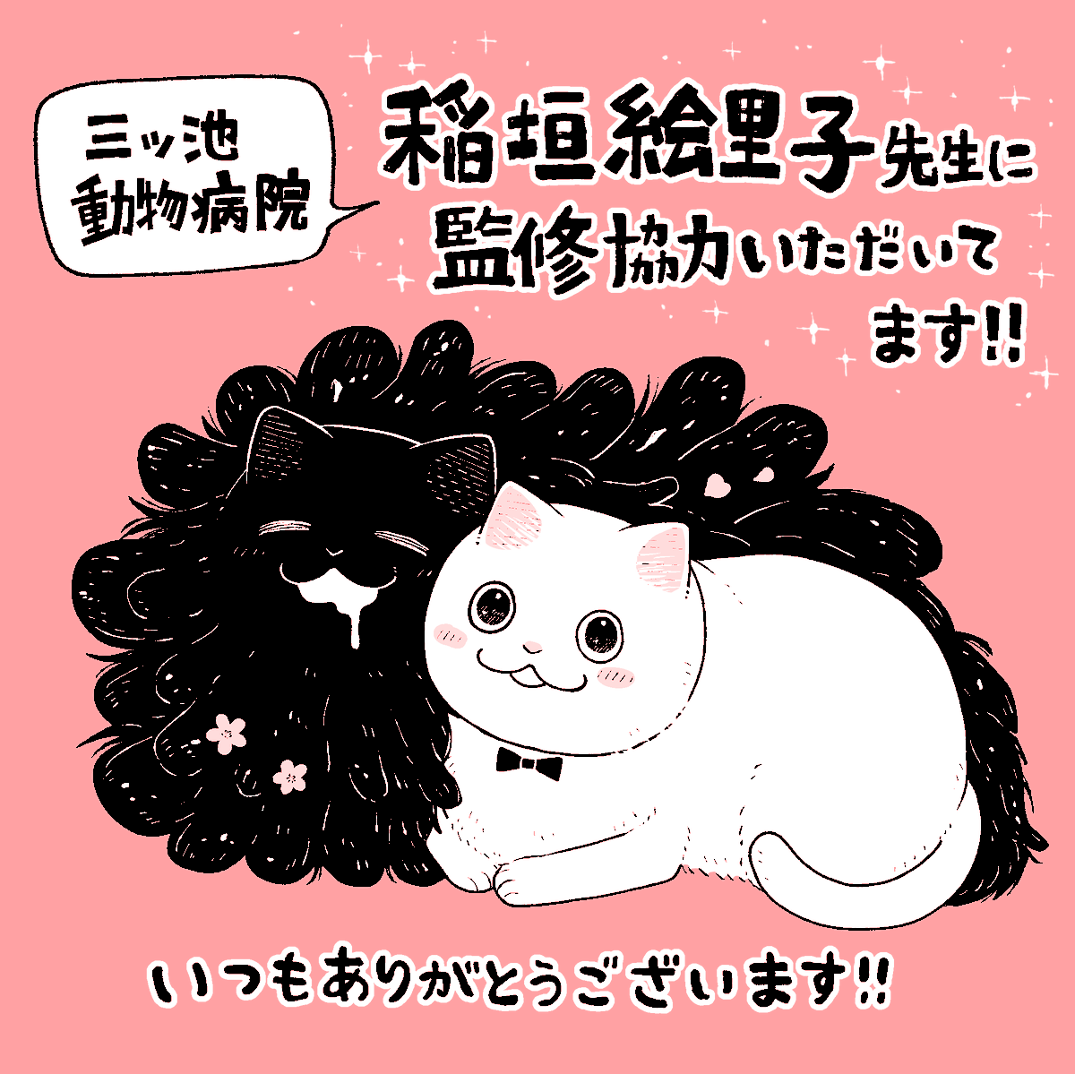 『ツレ猫 マルルとハチ』は2巻の途中から三ツ池動物病院の稲垣絵里子先生に監修協力いただいてます。なんと漫画の紹介動画まで作っていただきました!ありがとうございます! https://t.co/v3z2zhEQbq