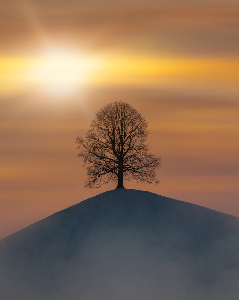 Dom 🏔🐐 tweet media