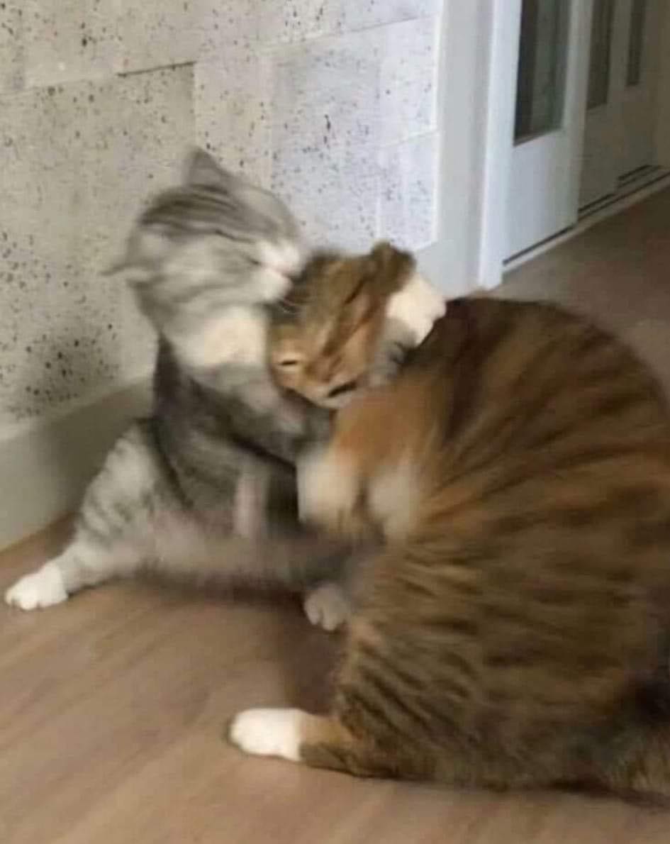 Gen Surg and Ortho consultants send their Regs to get first spot on the weekend Emergency Operating list #medtwitter