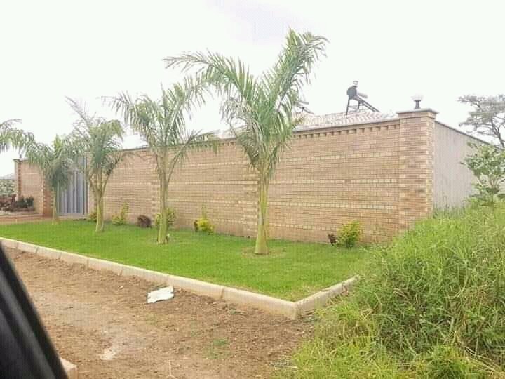 BlessingMeya5's tweet photo. Sayonara landscaping services l do landscaping garden designing garden mantainance,0773199249 https://t.co/xAPOZcb5JA