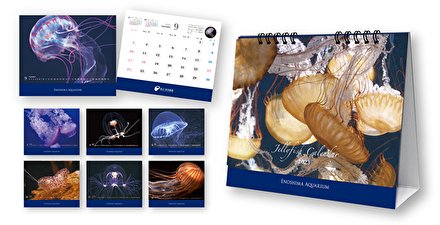 2023年版“えのすい”オリジナルカレンダー🗓️
数量限定で販売中📣

プレゼントにもお勧め。コンパクトな卓上版は、ぜんぶクラゲです ଳ🎶

メインショップ
enosui.com/shop_mainshop.…