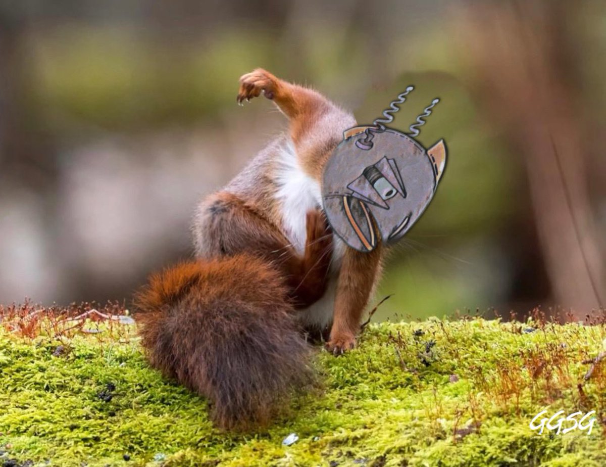 AntCee7's tweet photo. Yo
Gm

Market down bad…
In the @GalacticGeckoSG wdgaf…we joke, laugh &amp; vibe…been to zero, had fun, came back…if we go again, so be it, we still vibe…concs are under 1 Sol, if you’re down really bad, grab one, come hang out with us then flip up to a gecko.

GL Anon❤️GFY🚀🫂 https://t.co/T5OyaPaJtn