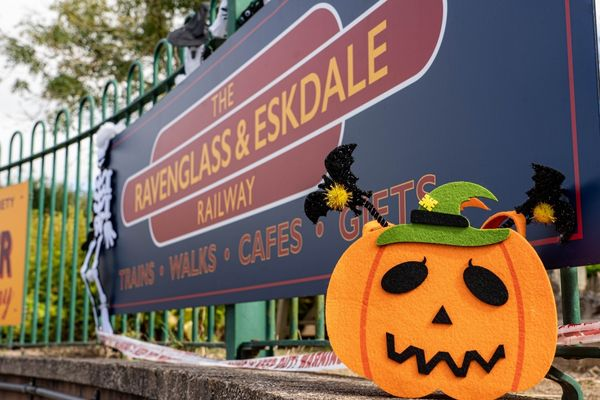 Days Out Cumbria tweet media