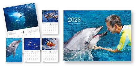enosui_com's tweet photo. 壁掛けカレンダーは、当館の人気動物が登場します🐧🐬🐠

いずれのカレンダーも、当館1階“メインショップ”と、本日より“新江ノ島水族館オンラインショップ”でもお求めいただけます🛒

https://t.co/sQIh6teC3Z
https://t.co/e6E6Hd87Gr https://t.co/xZlHtfpjX5
