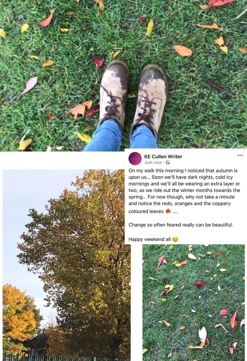 cullen_ke's tweet photo. #inthepresent, #walking, #Autumn, #change, #focused, #stillediting, #gettingthere, #publishing, #selfpub, #bookish, #readmore, #bookmarketing,#crimethriller , #triology, #bookpromotion, #amazonkdp, #quickread, #mswl, #weekendreads, #book, #crimefiction, #indiepublishing, https://t.co/lO6VVy3uIl