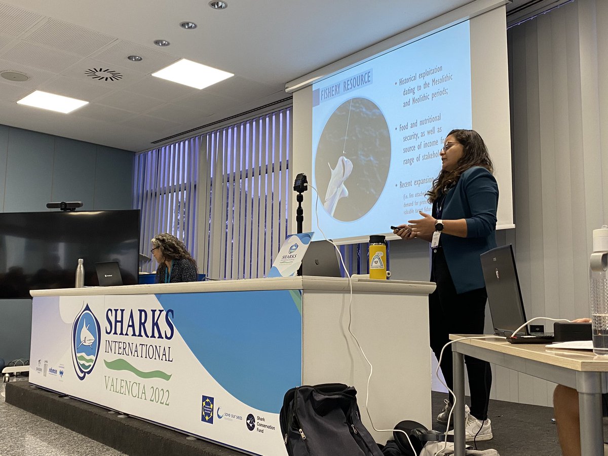 Diana Pazmiño (@diany_pj) on Twitter photo Amazing talk by <a href="/martins_apb/">Ana Barbosa Martins</a> about correlates of 🦈 meat consumption! So much great #sharkscience on the last day at <a href="/SharksInt2022/">Sharks International</a> Amazing talk by <a href="/martins_apb/">Ana Barbosa Martins</a> about correlates of 🦈 meat consumption! So much great #sharkscience on the last day at <a href="/SharksInt2022/">Sharks International</a>