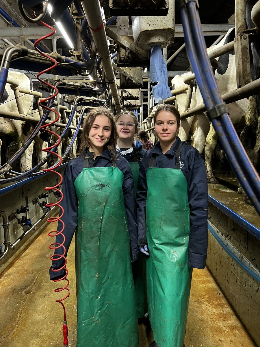LEAF_Education's tweet photo. A 5am start milking for students at the National Food, Farming &amp; Natural Environment competition at @colegcambria 👏🏼 
Followed by practical Sheep health checking highlighting the expanse of opportunities available within agriculture! Kitted out in PPE thanks to @Bayer4CropsUK 🤩 https://t.co/kXJAg0FY5V