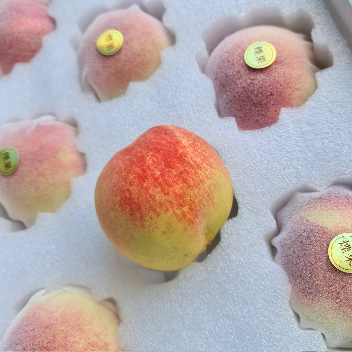 Gpremiumfruits's tweet photo. 🍑 🍑 ลูกพีชเนื้อกรอบ หอม หวาน 
อร่อยมากกกกก เนื้อไม่เละเลย
อร่อยแบบ 5,000% สายพีชเลิฟแน่นอน https://t.co/ycdC7ZaZWL