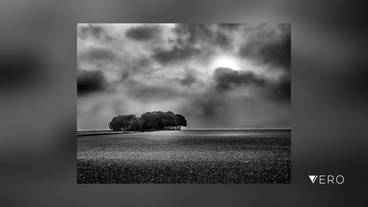 BobHolmanPhoto's tweet photo. Wiltshire clump - an autumn skyline. 
#smartshots #blackandwhitephoto #blackandwhitephotography #blackandwhite #iamarebelmember #iso100community #raw_bnw #shotoniPhone #rebels_united #rebel_bnw #podium_mono #monochrome #Sky #Cloud … https://t.co/mXqmGtS7V9 https://t.co/fmFC1zQLd5