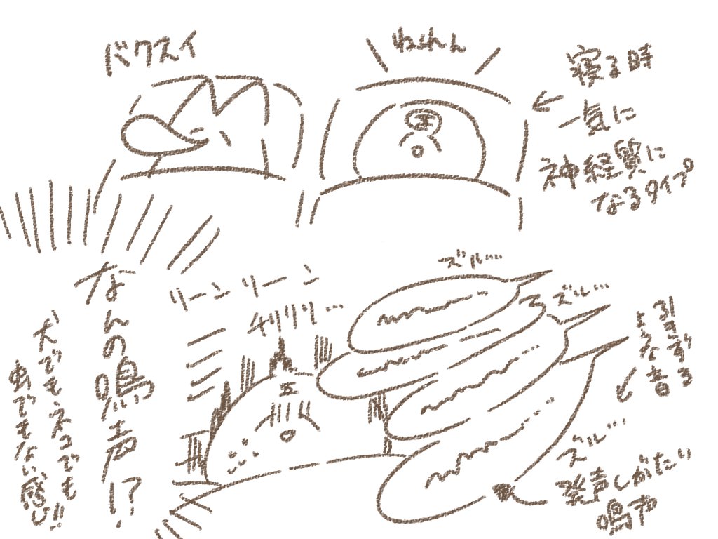 豪気な友達とキャンプしたプチ話 