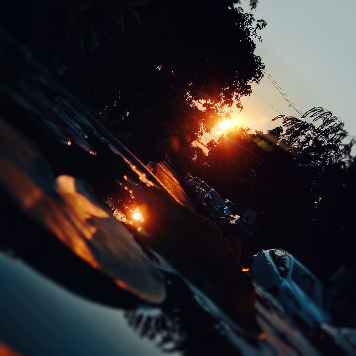 Hachi ✦ tweet media