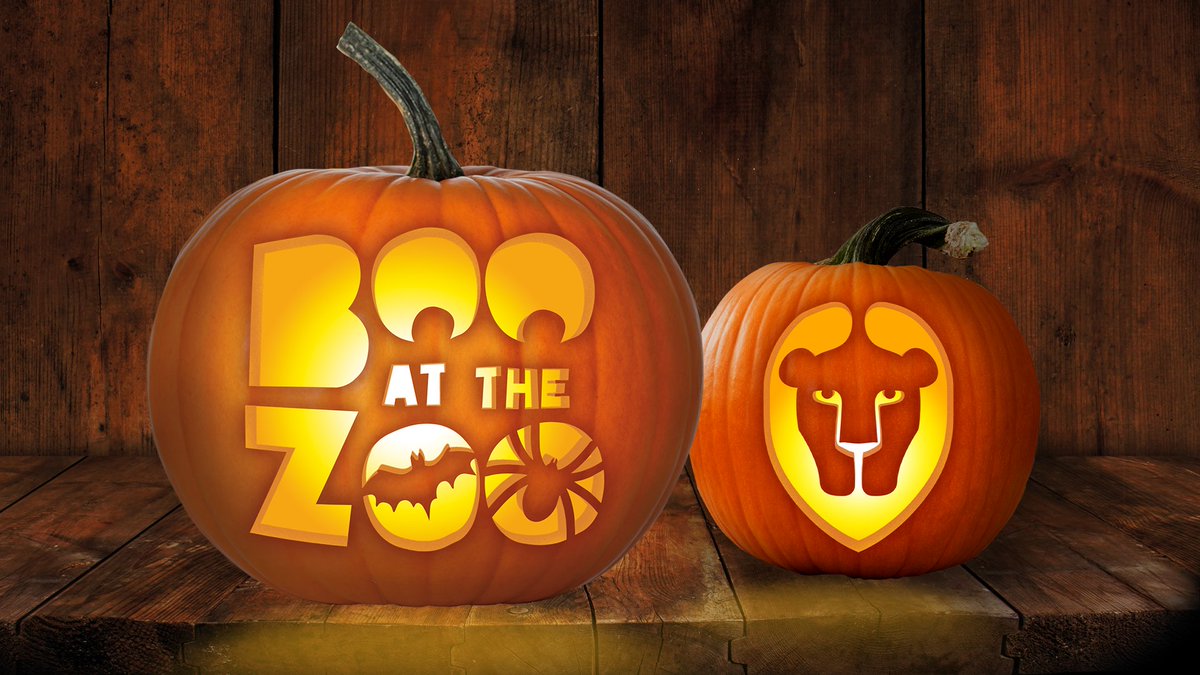 Whipsnade Zoo tweet media