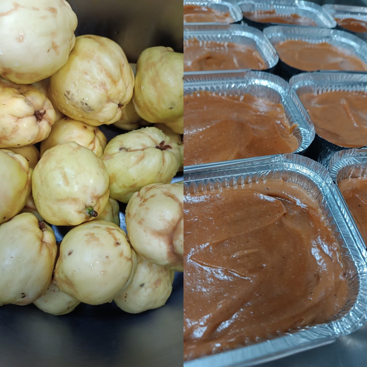 SadollRest's tweet image. #codony #codonyat #codonys #membrillo 😜