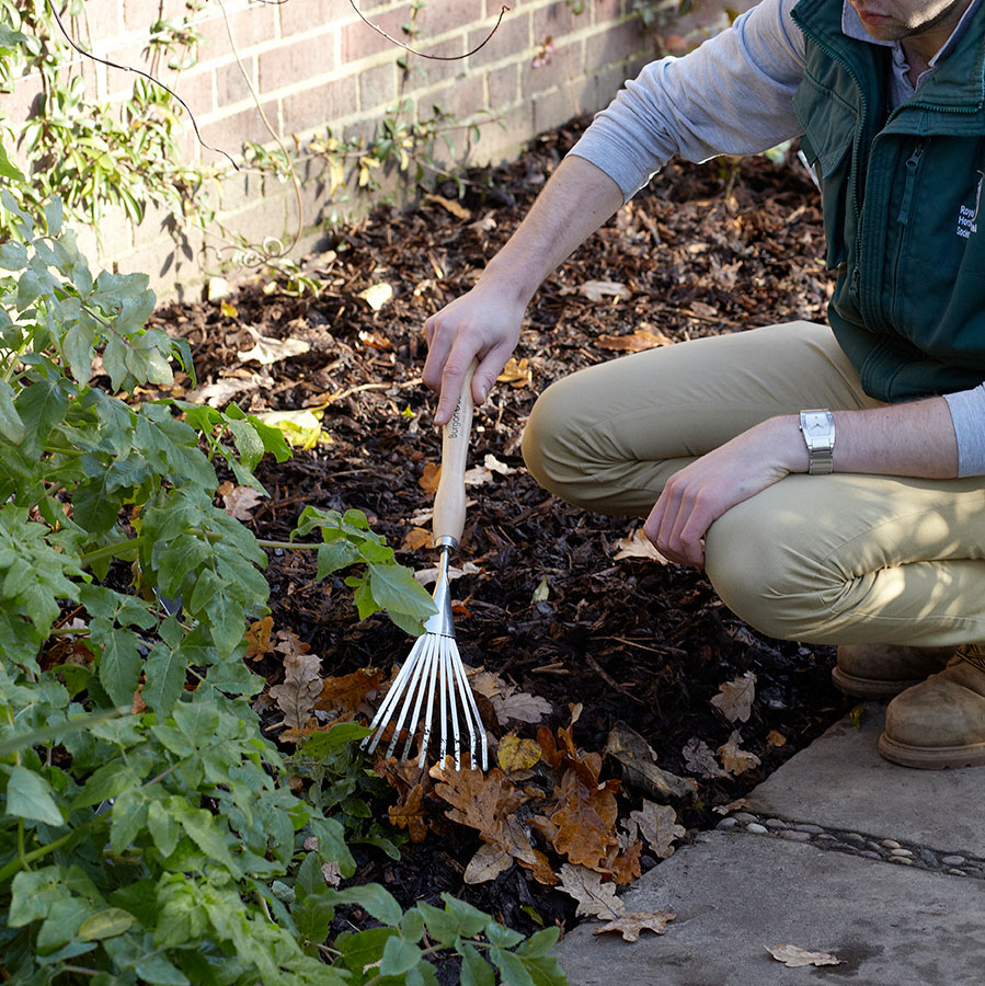burgonandball's tweet photo. Ideal for keeping beds and borders clear of fallen leaves and debris, our @the_RHS-endorsed shrub rake is available in three handle lengths: hand, mid-handled, and long-handled. However you #garden, it's an invaluable tool at this time of year. https://t.co/1oWijtM3ke 
#gardening https://t.co/3QjRhAA1eG