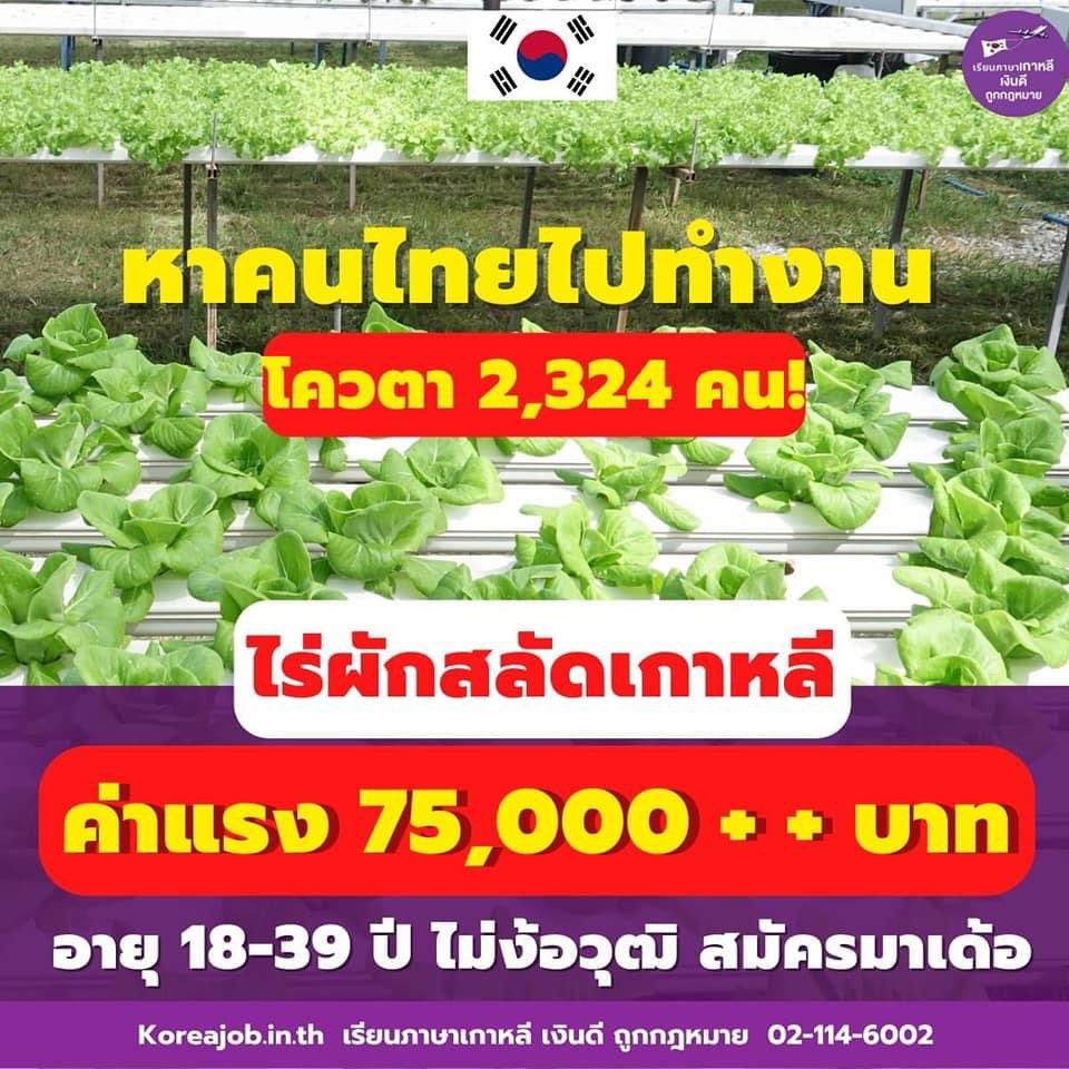 raiyounggarden's tweet photo. เขาเปิดไปดีๆถูกกฎหมายก็ไปกันเหอะ https://t.co/85QCXKdjBL