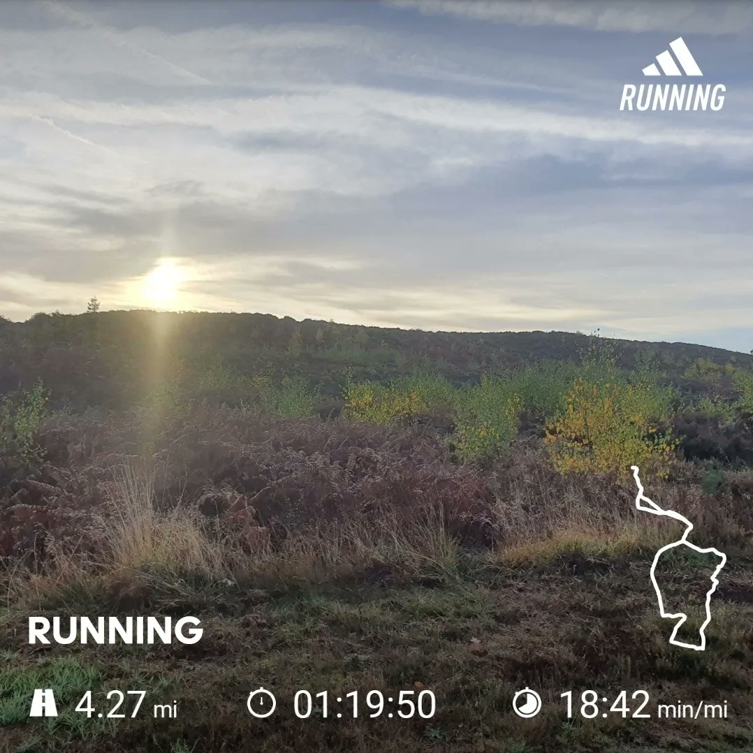 HaslemereH4's tweet photo. Another beautiful trail run this morning! https://t.co/jk7I8F8cXZ