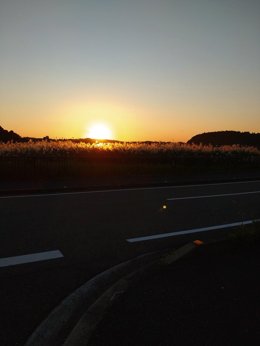 ついこの間までは暑かったのに朝夕と寒くなって景色はすっかり秋。 1年あっという間に過ぎていく😅 #お散歩ニッキ #チワックス