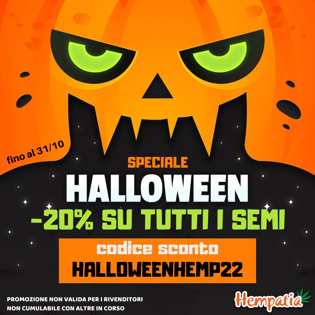 Speciale Halloween su Hempatia: fino al 31/10 hai il 20% di sconto su tutti i semi! *

Usa questo codice sconto nel carrello: HALLOWEENHEMP22

Ti aspettiamo su hempatia.network

* la promozione non è valida per rivenditori e non è cumulabile con altre in corso.