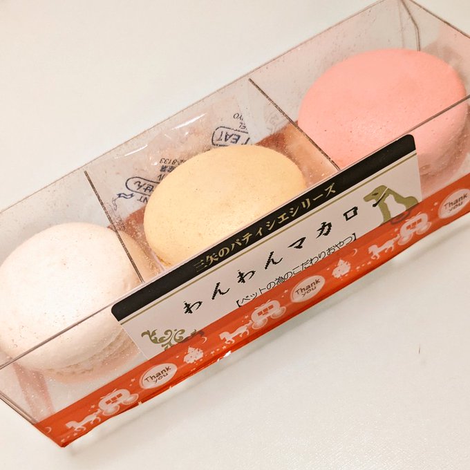 姪っ子ちゃんがマロンにわんわんマカロン買ってきてくれた💕 