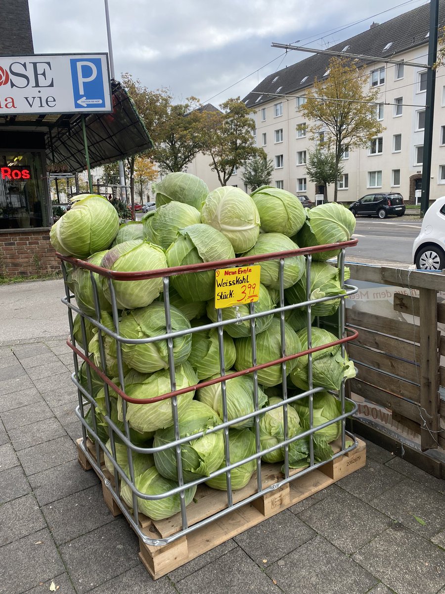 pristinaoffl's tweet photo. Giant sized cabbages 🥬 #Germanthings https://t.co/zQssrSZaRc