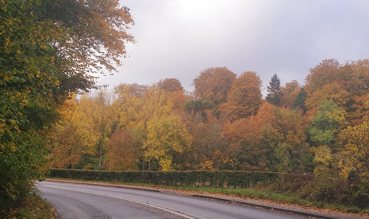 The autumn colours continue around Brecon - Priory Groves is looking particularly colourful from above. Beautiful Brecon!
#visitbreconbeacons #visitbrecon #visitwales #seasons #autumn #greatbritain #Greatoutdoors #UnitedKingdom
